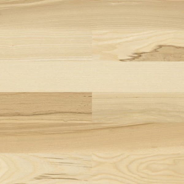 Jesion Baltic 118x40,8cm