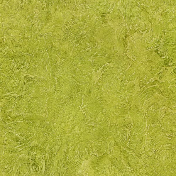 folder image