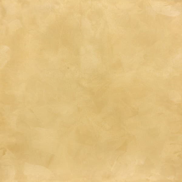 folder image