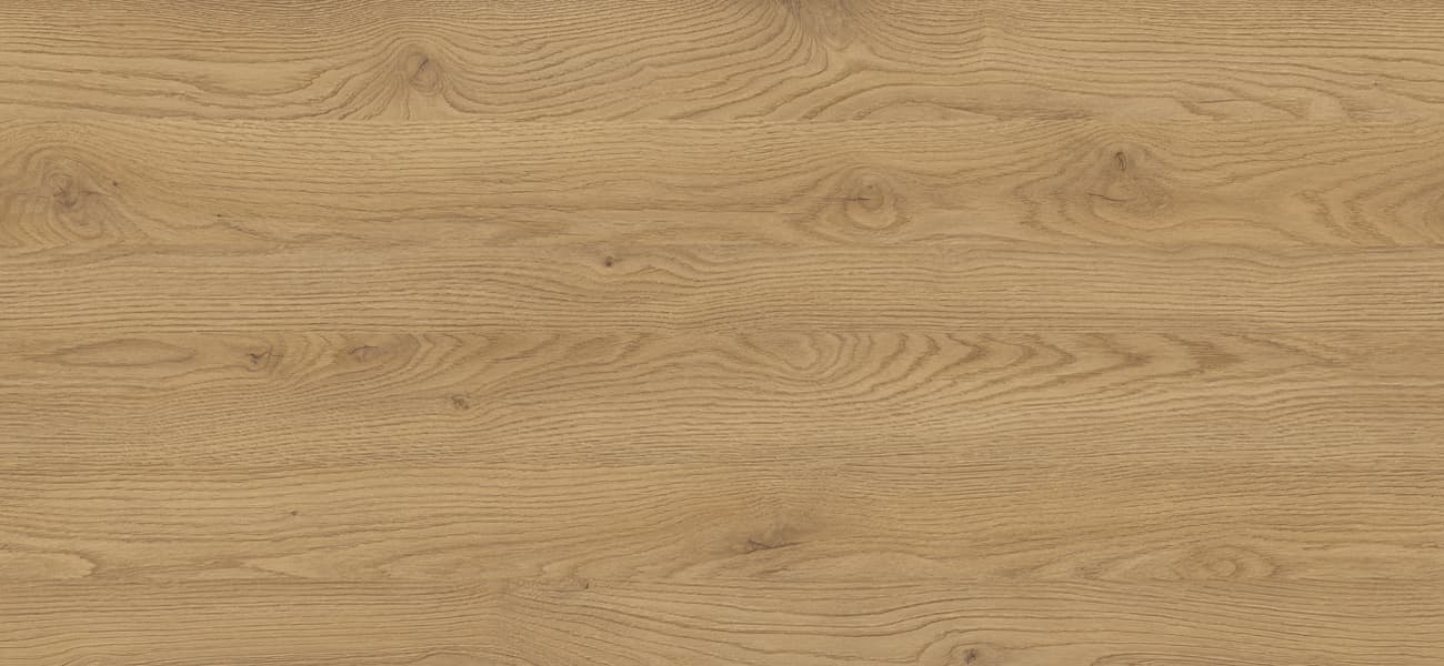 D4033 OW Dąb słoneczny