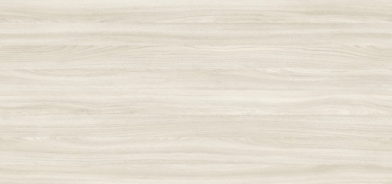 D3158 MX Jesion Werona