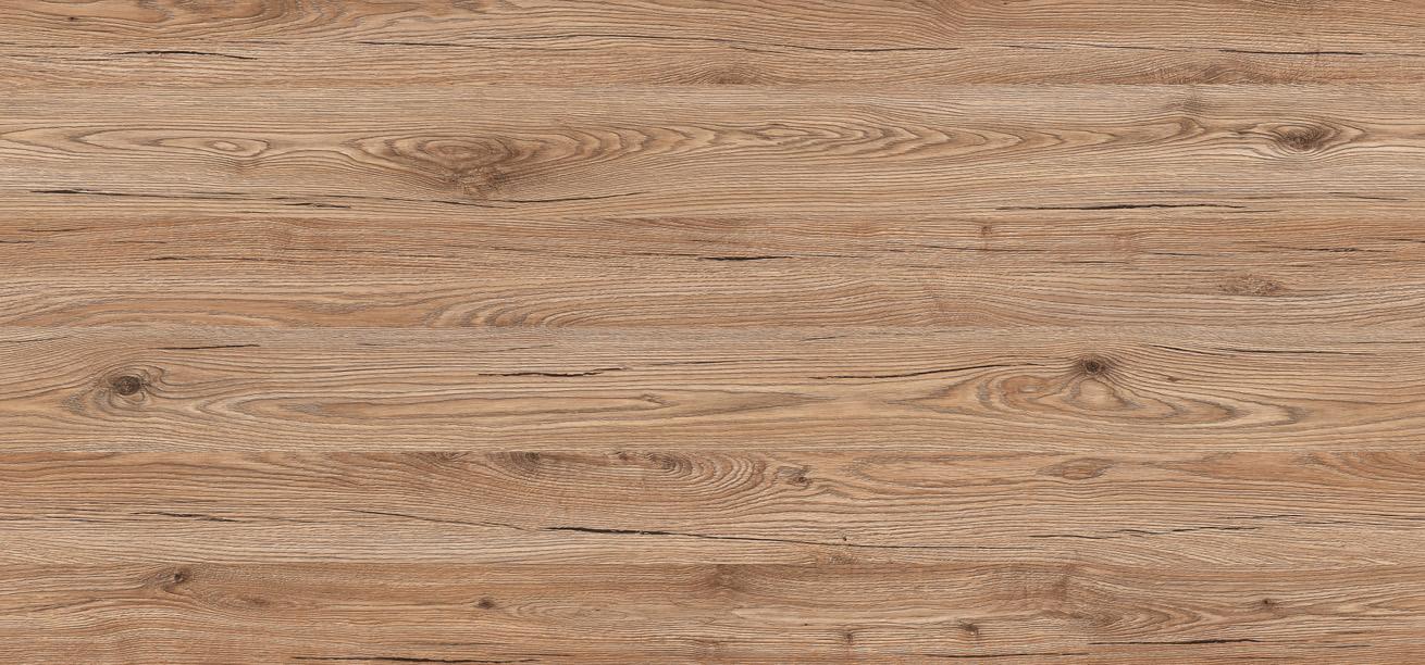 D3349 MX DĄB SAN MARINO