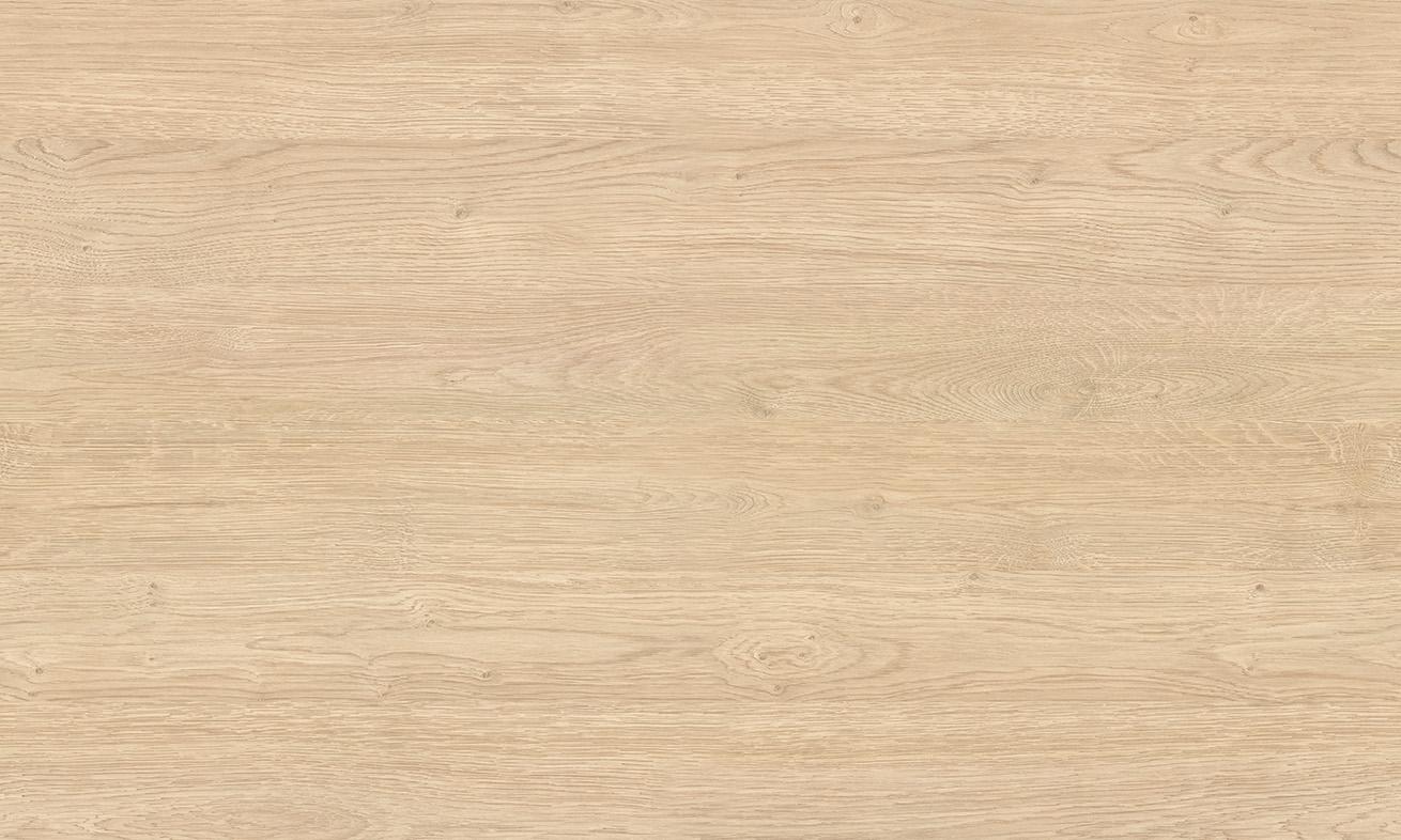 D3801 CL DĄB MADRYT