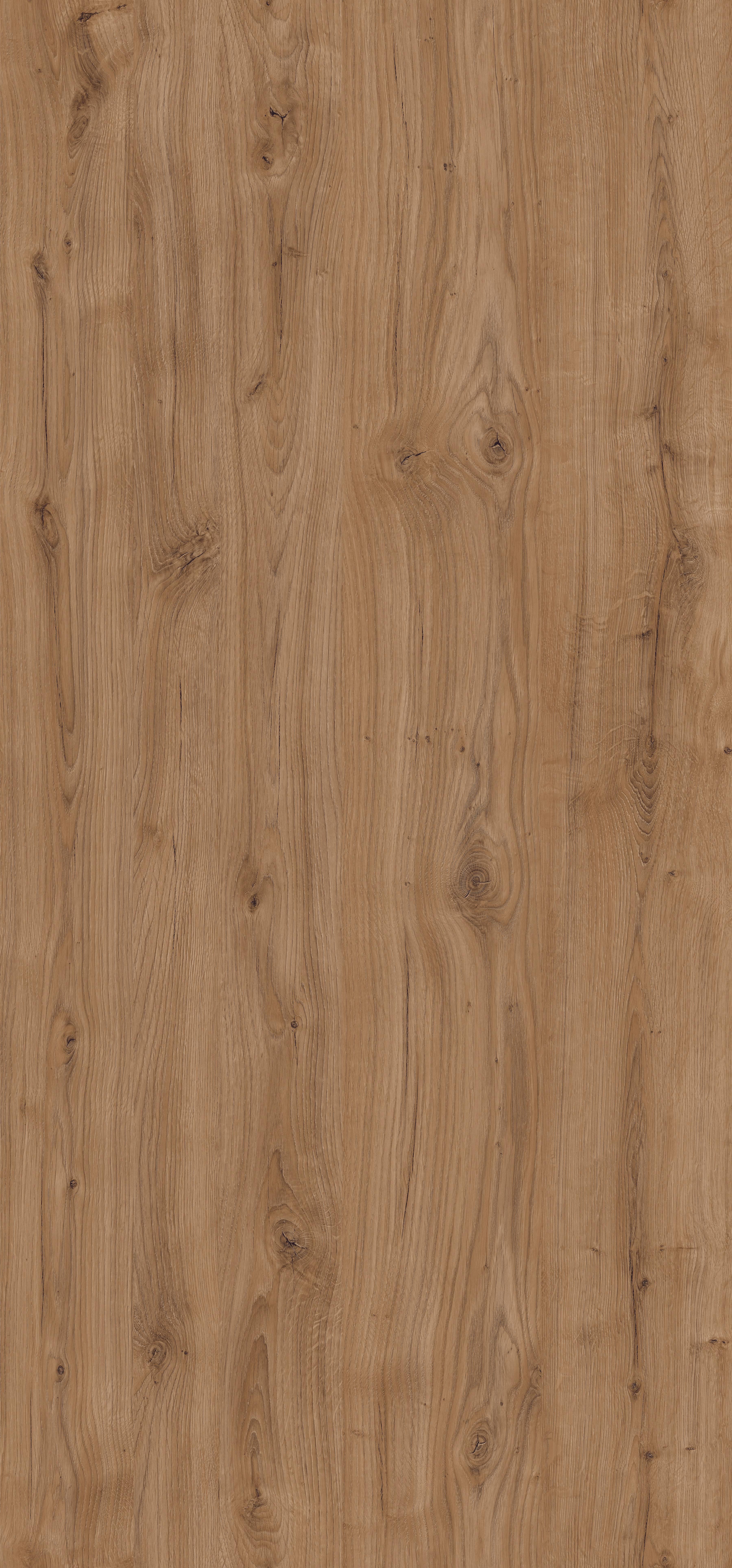 D1041 Dąb Odwieczny 