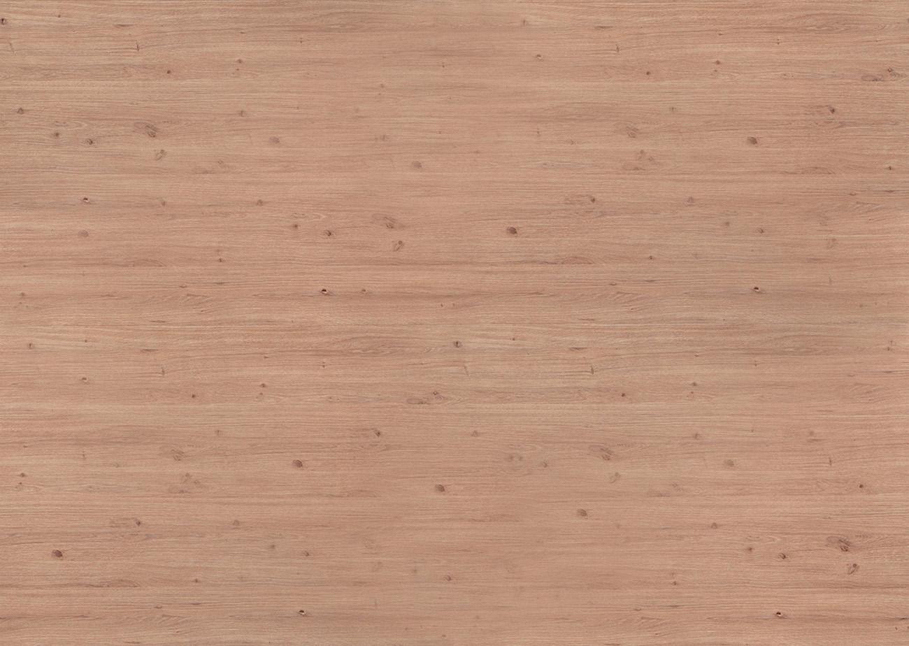 D2840 OW DĄB KRÓLEWSKI