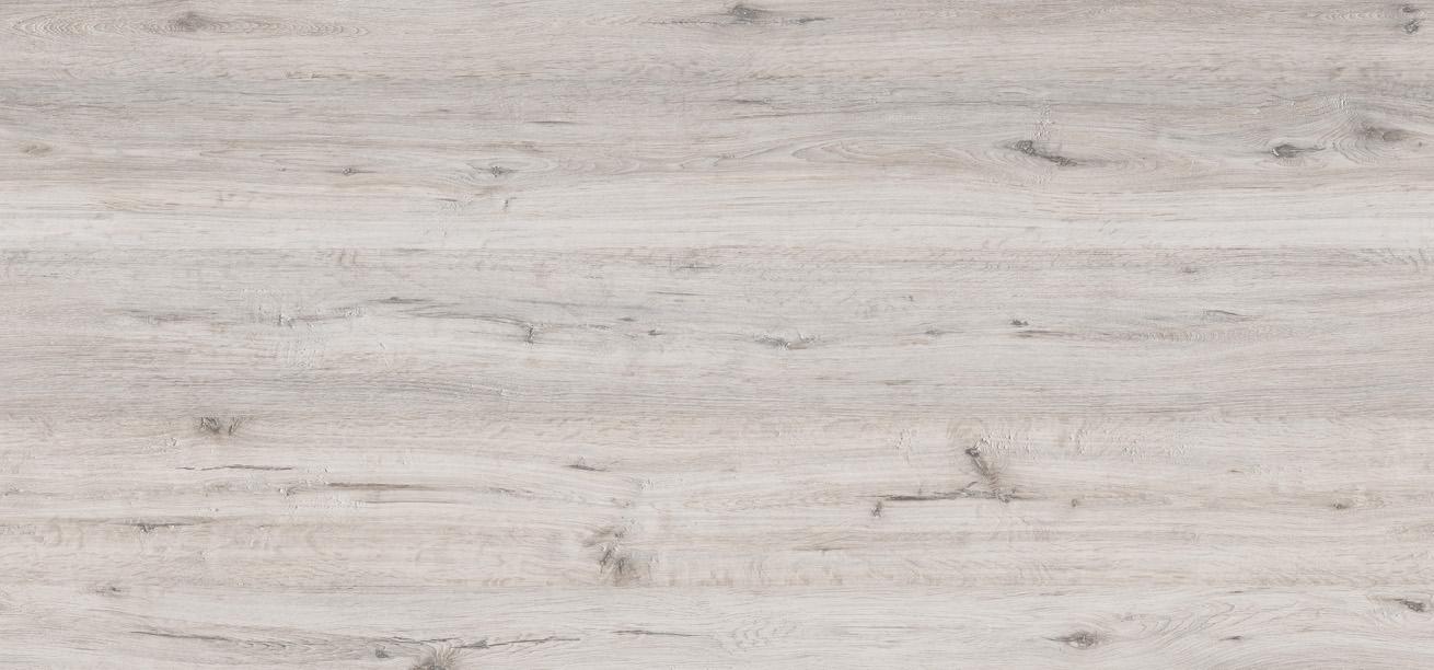 D3275 MX DĄB CORTONA