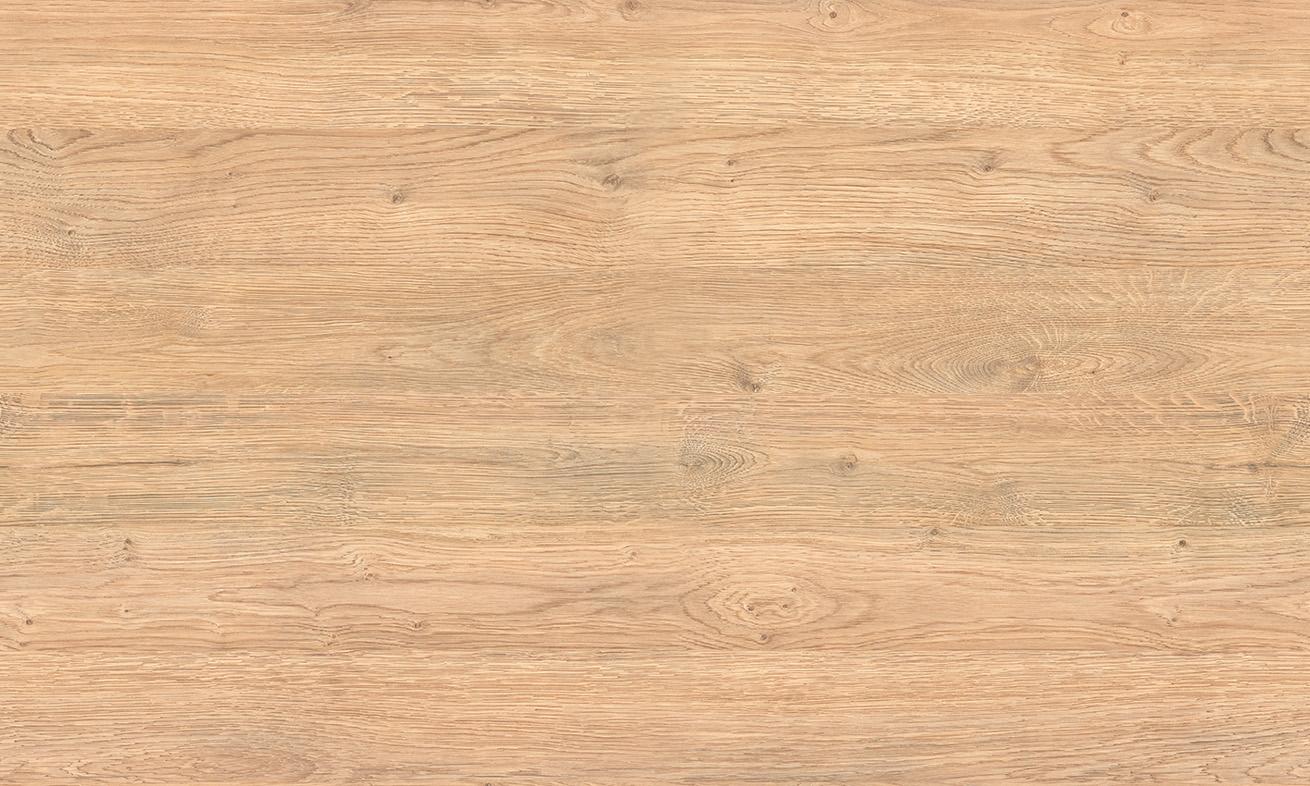 D3798 CL DĄB LONDYN