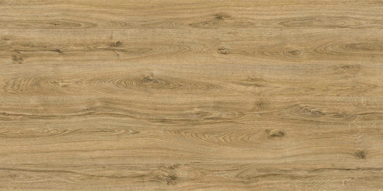 D3314 SD DĄB GIOVANNI