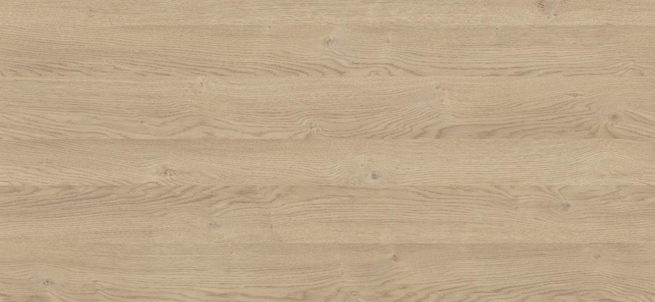 D4032 OW DĄB BISZKOPTOWY