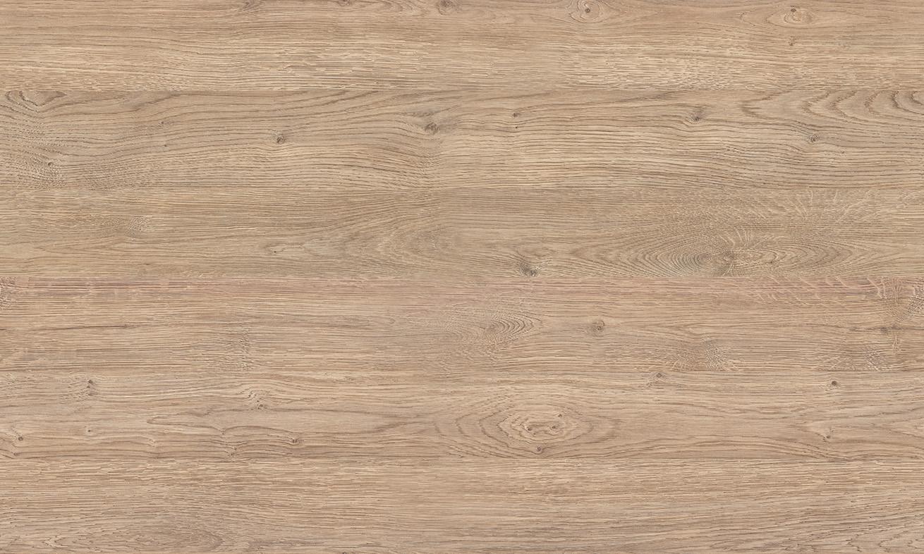 D3799 CL DĄB PARYŻ