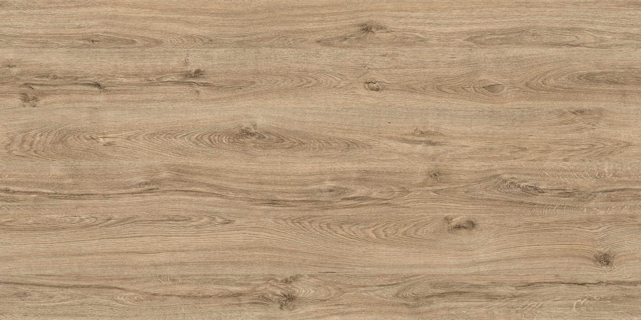 D3313 SD DĄB PETERSBURG (NABUCCO)