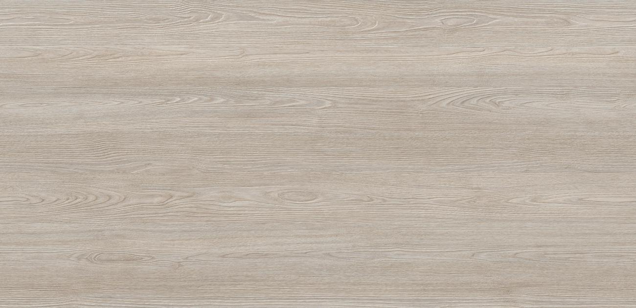 D1861 MX AKACJA KSIĘŻYCOWA