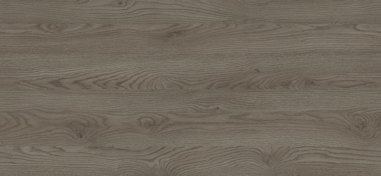 D1096 OV DĄB FRAPPE