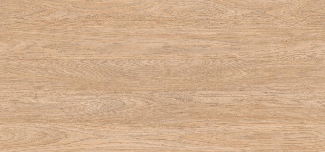 D3823 OW DĄB NOWY JORK