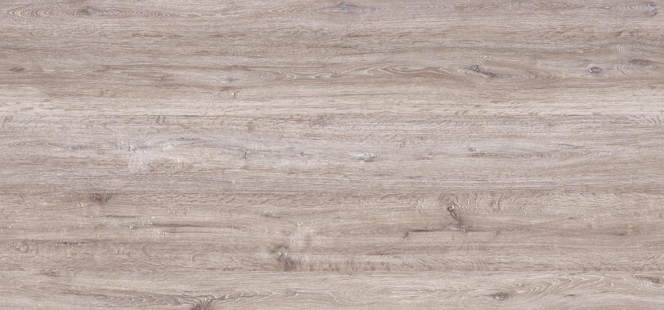 D3276 MX DĄB ANCONA