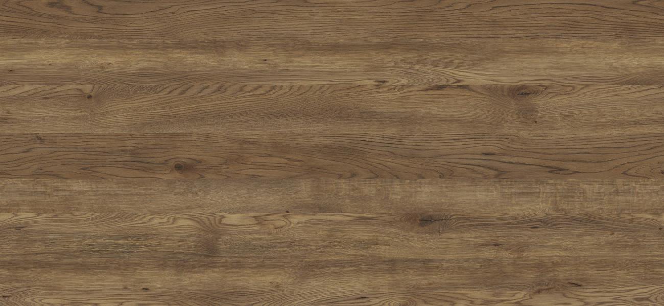 D4865 OW DĄB WERSAL