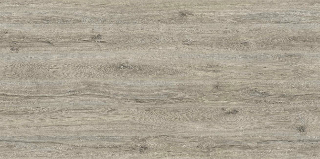 D3315 SD DĄB OSLO (FIGARO)