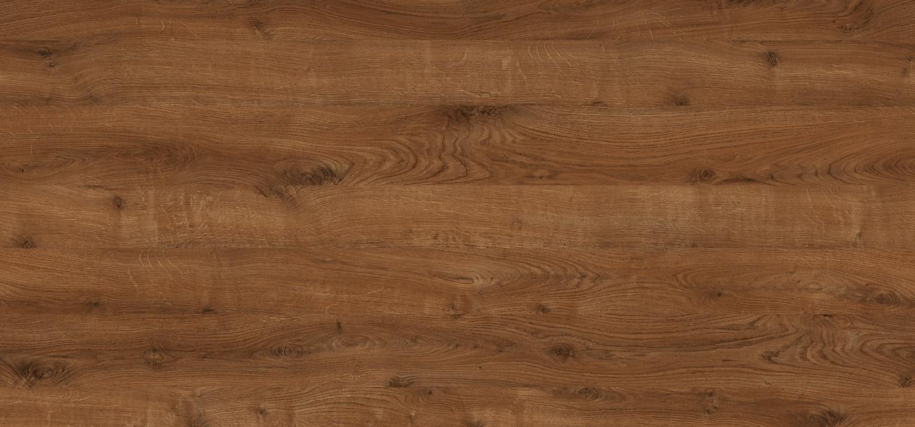 D2419 OW DĄB ANTYCZNY