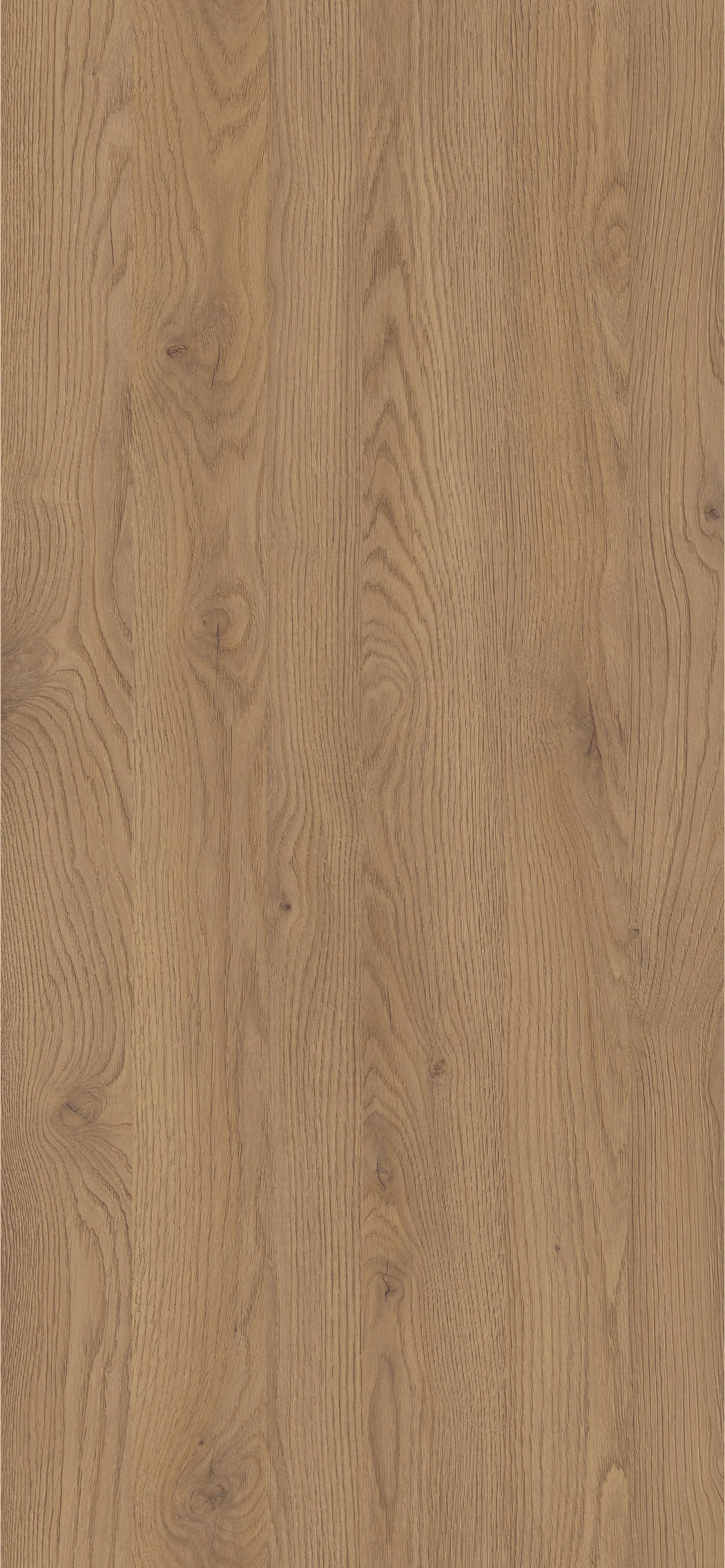 D4033 Dąb Słoneczny