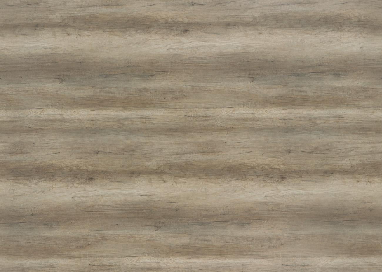 D3273 MX DĄB CANYON