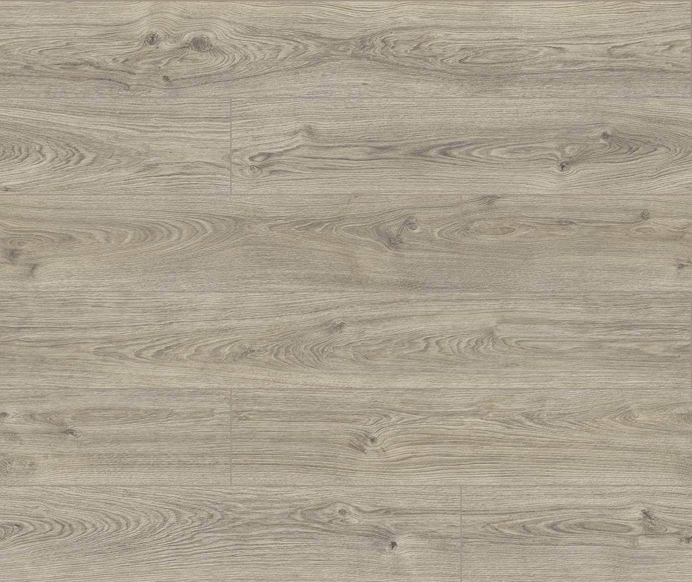 40034 3D Dąb Dove 1