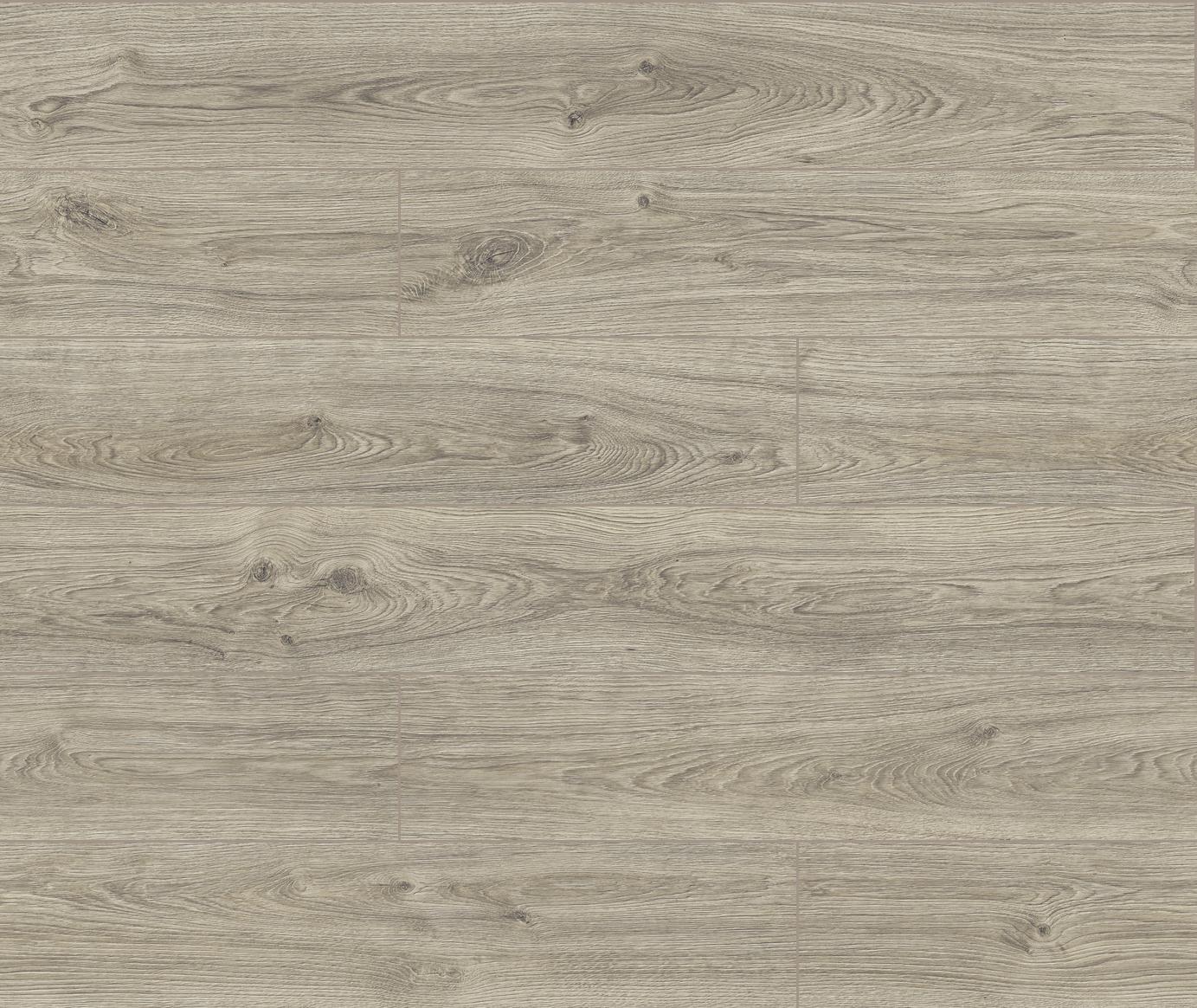 40034 3D Dąb Dove 3