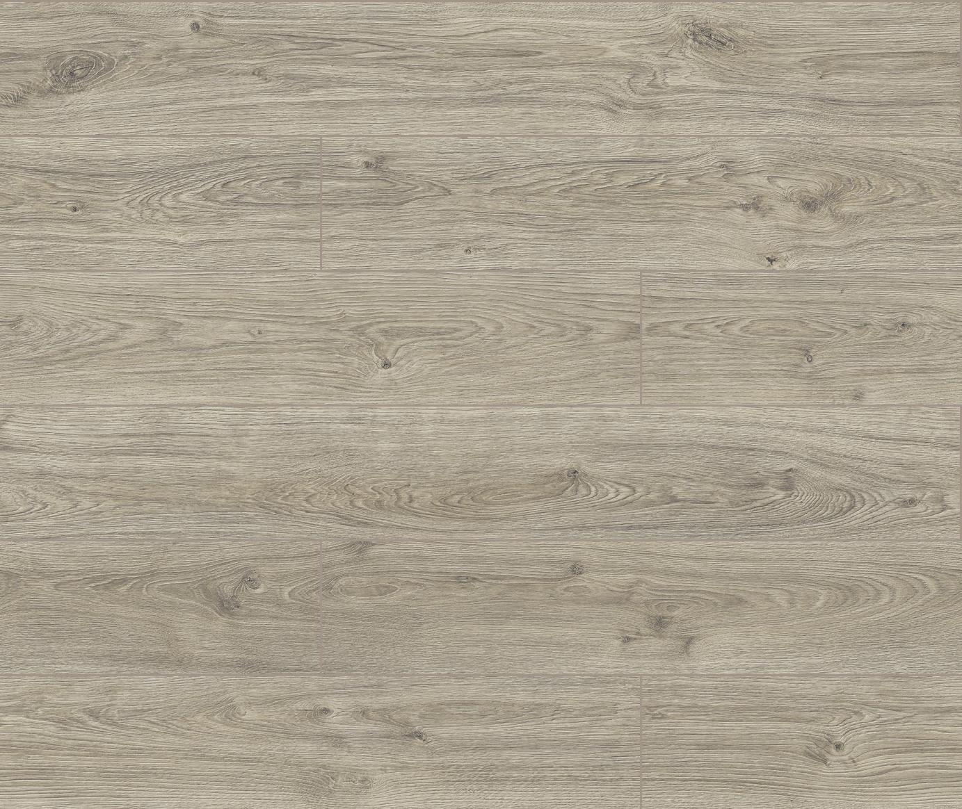 40034 3D Dąb Dove 2