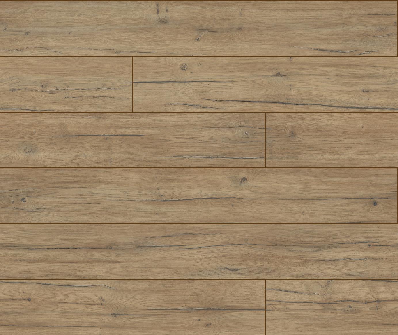 40254 3D Dąb Condor 1