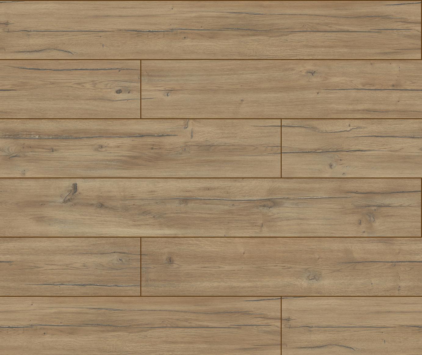 40254 3D Dąb Condor 2