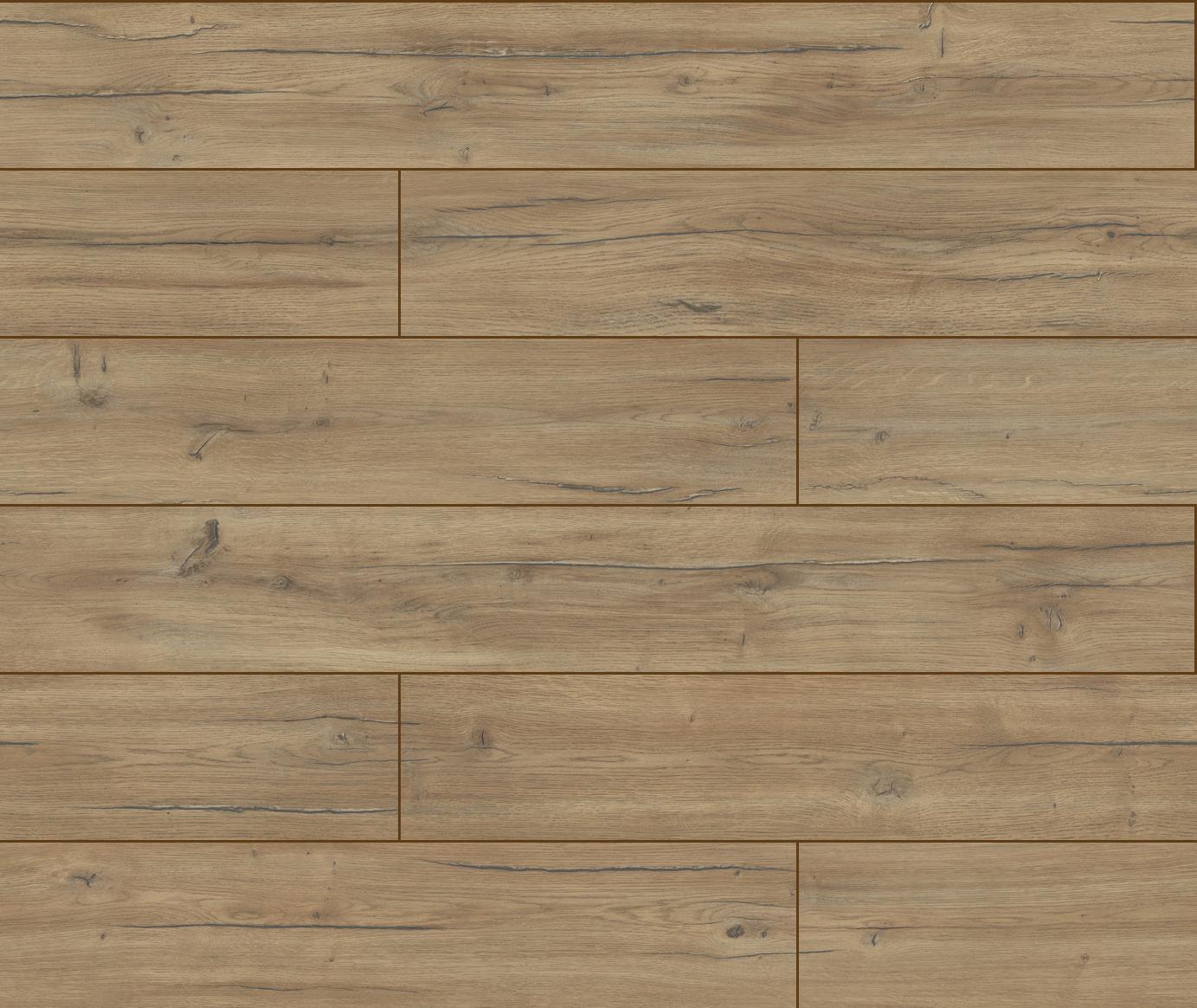 40254 3D Dąb Condor 3