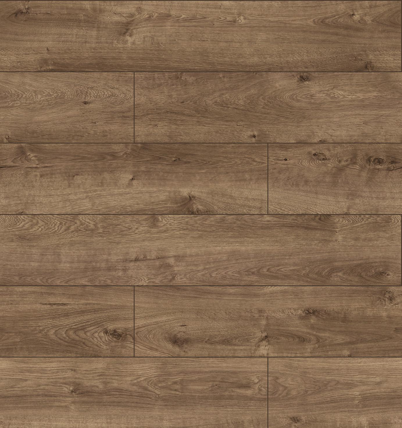 4584 3D Dąb Fantasy