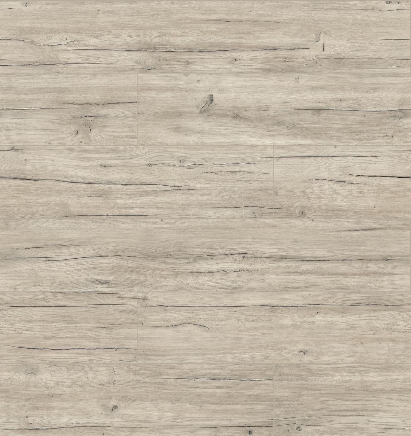 40234 3D Dąb Festiwal 2