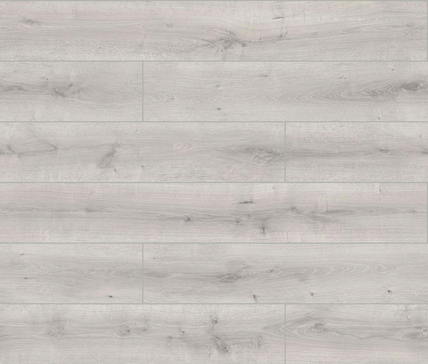 4558 WA Dąb Saragossa