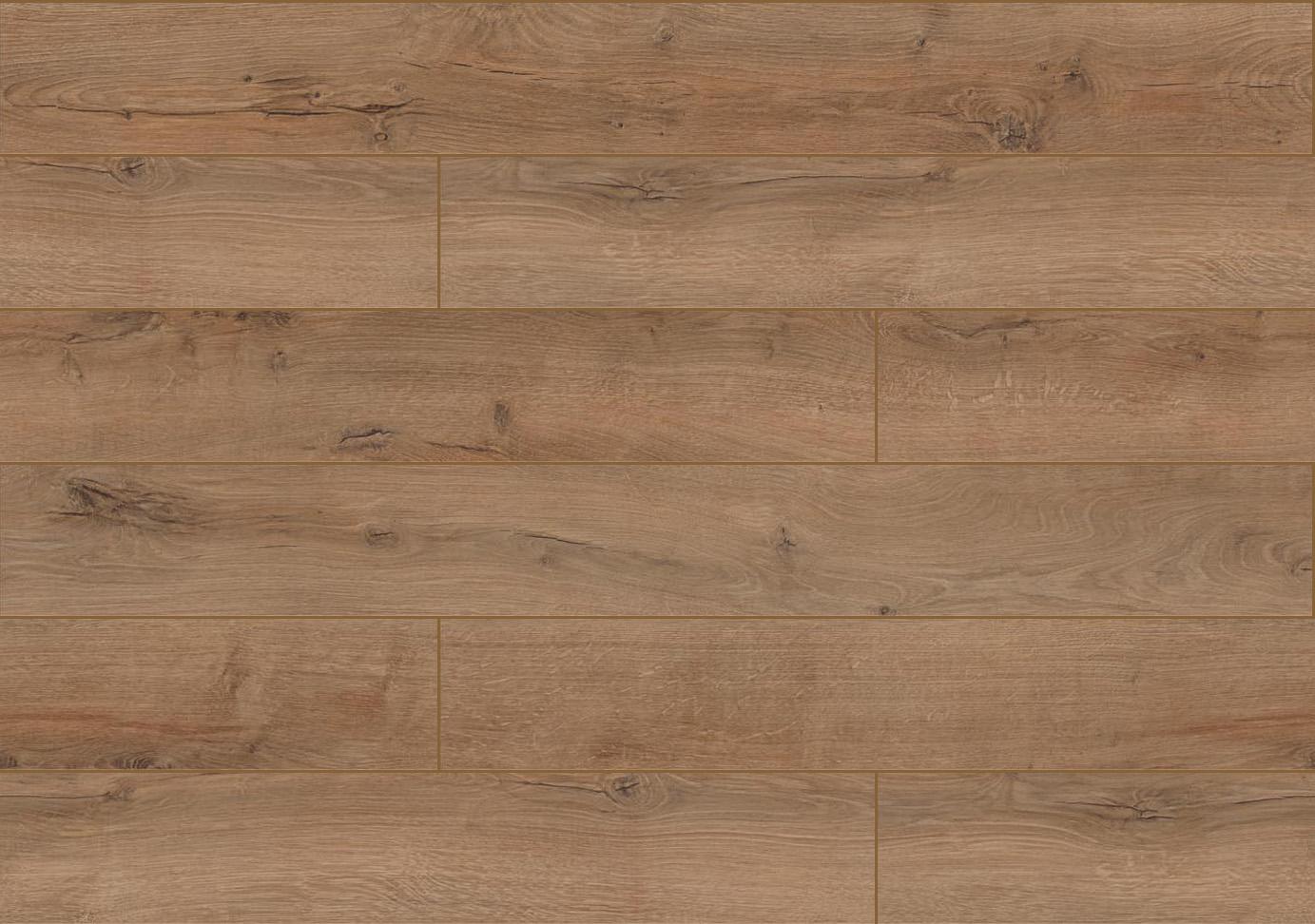 3787 WA Dąb Bałtyk