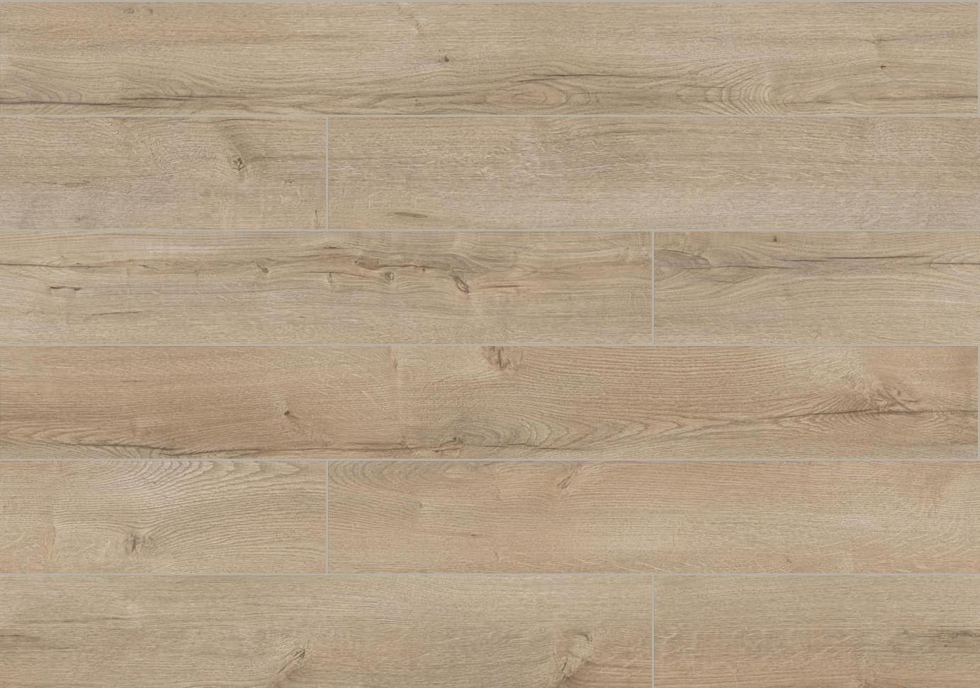 3280 WA Dąb Pacyfik