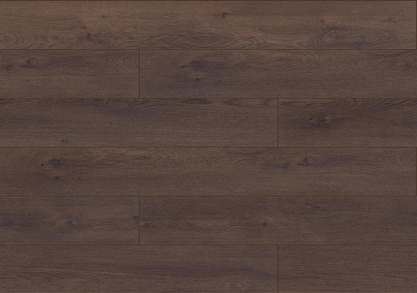 Dąb Adriatyk (D3793) 1383x972 mm