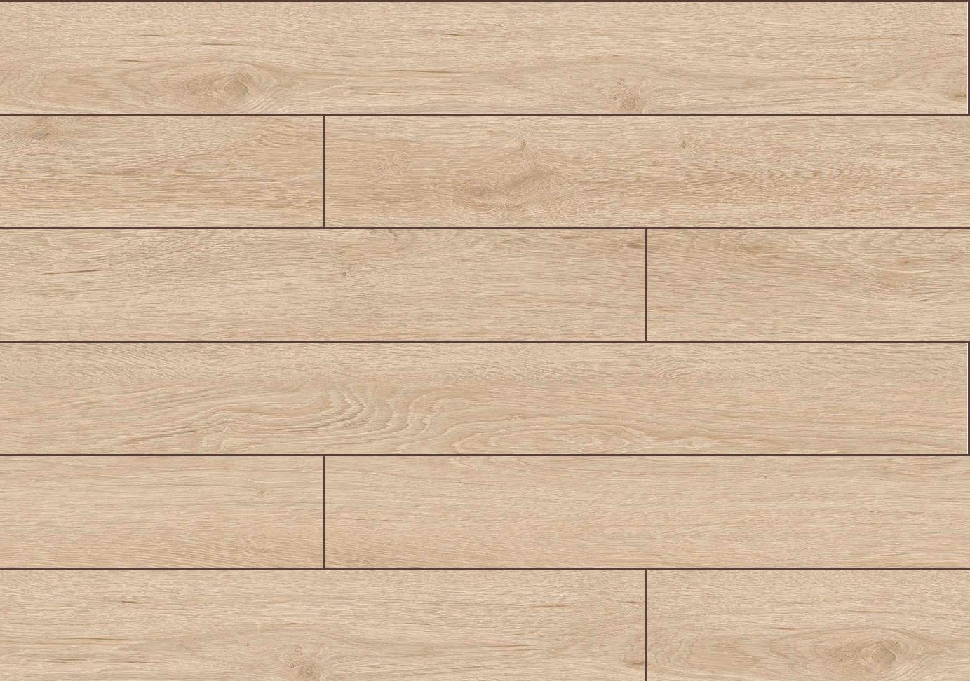 4564 WA Dąb Japoński