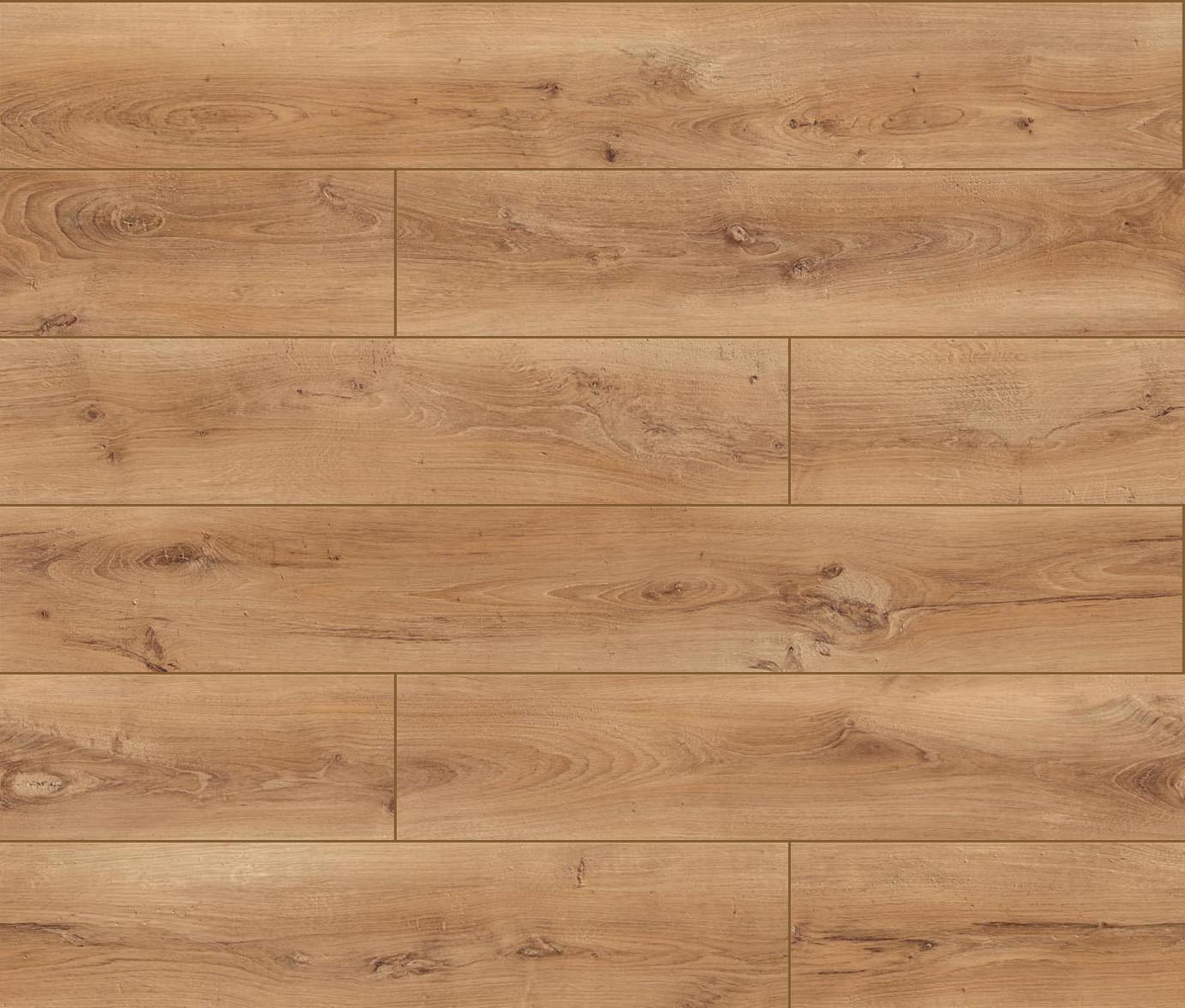 Dąb Celtycki (D2594) 1383x1176 mm