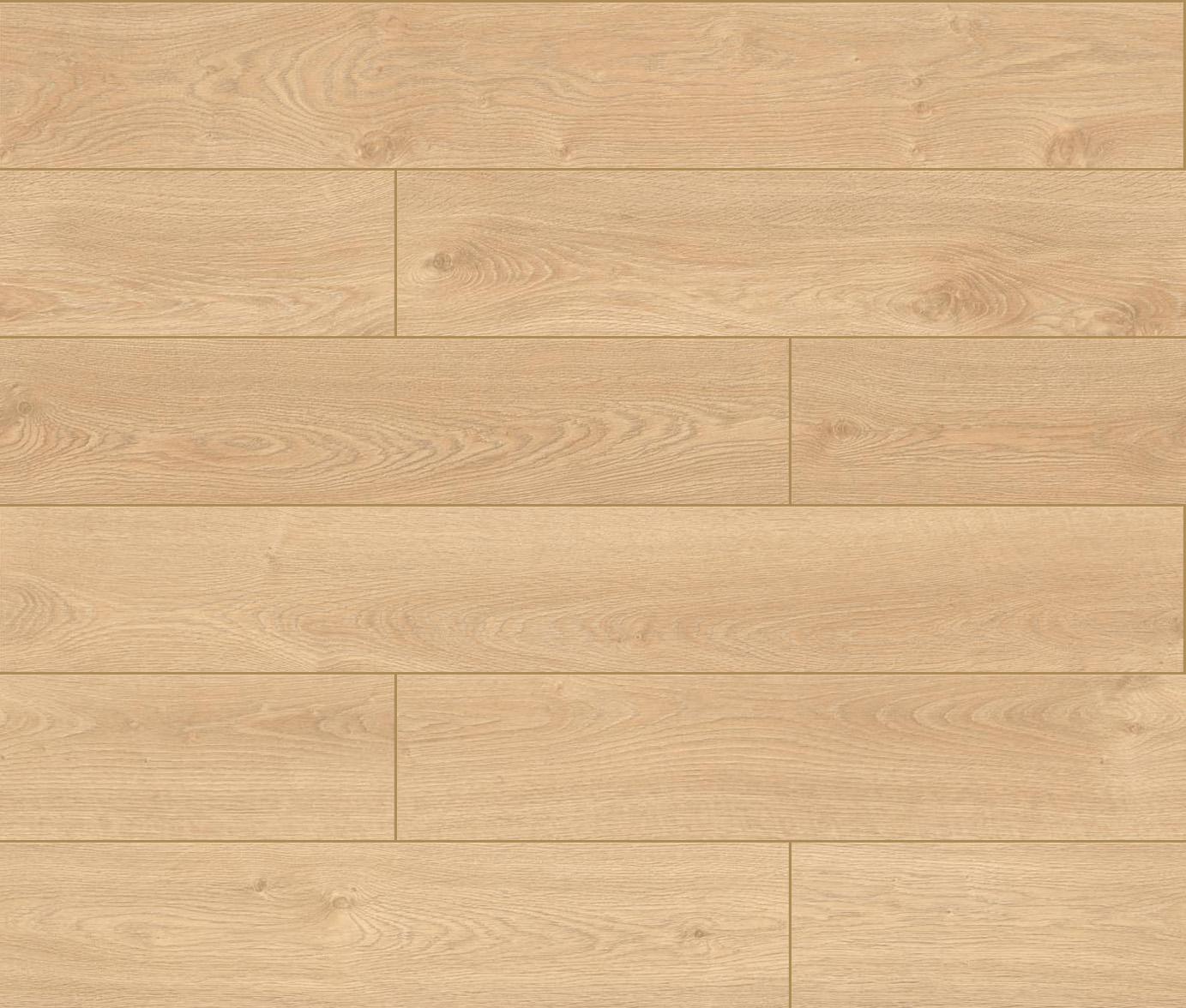 2044 3D Dąb Anyżowy