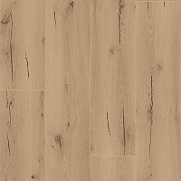 Announcing Fritz (PL271R) 5000x3000 mm