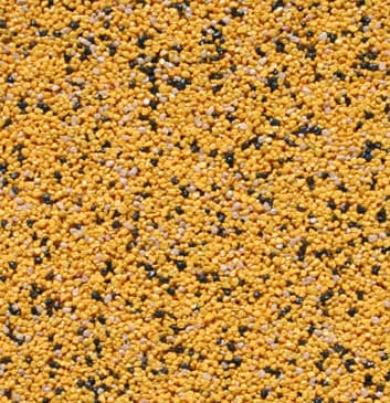 AT 397 - Express - A22