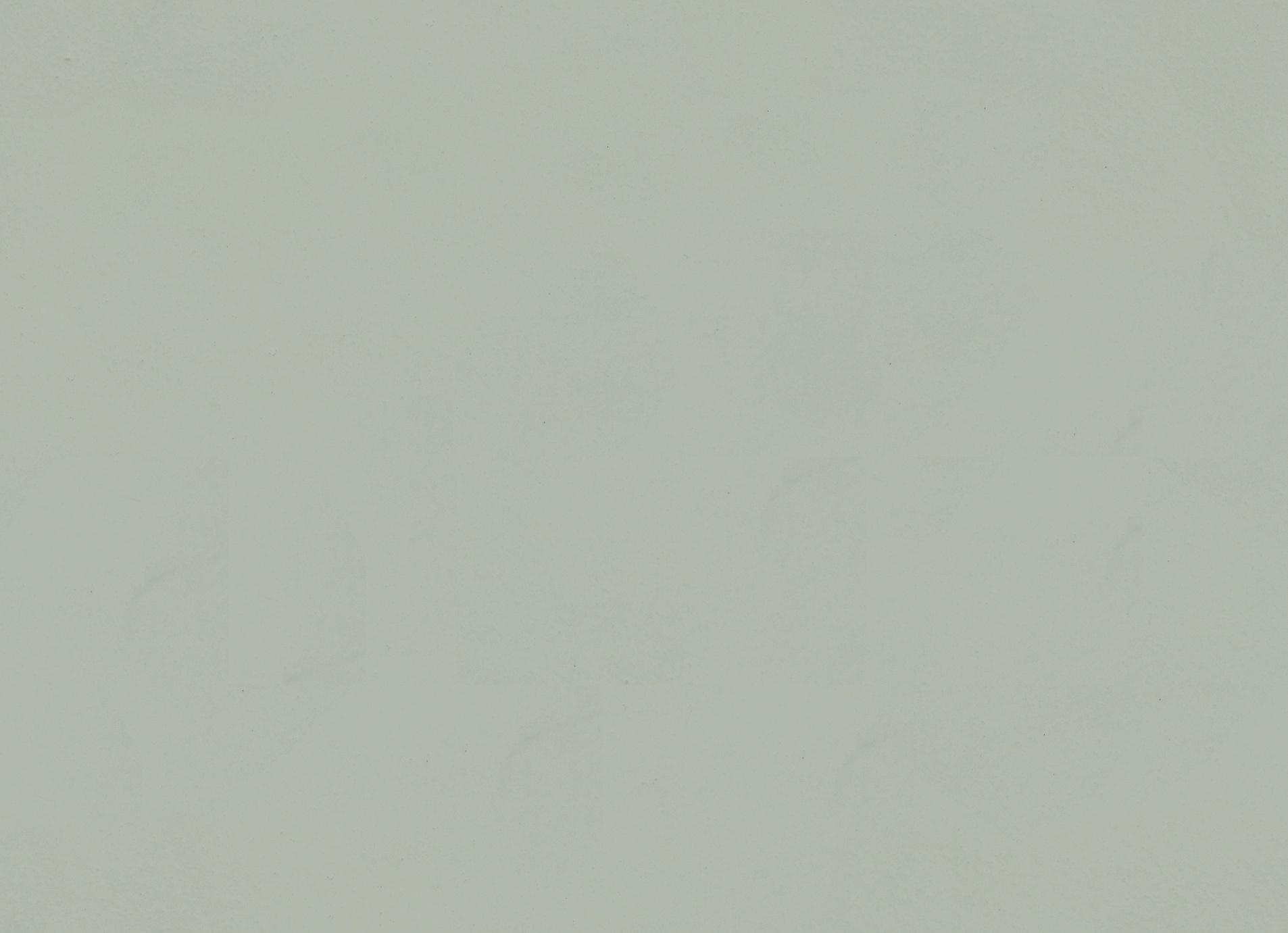 Flowcoat SF41_Yellow Grey 217