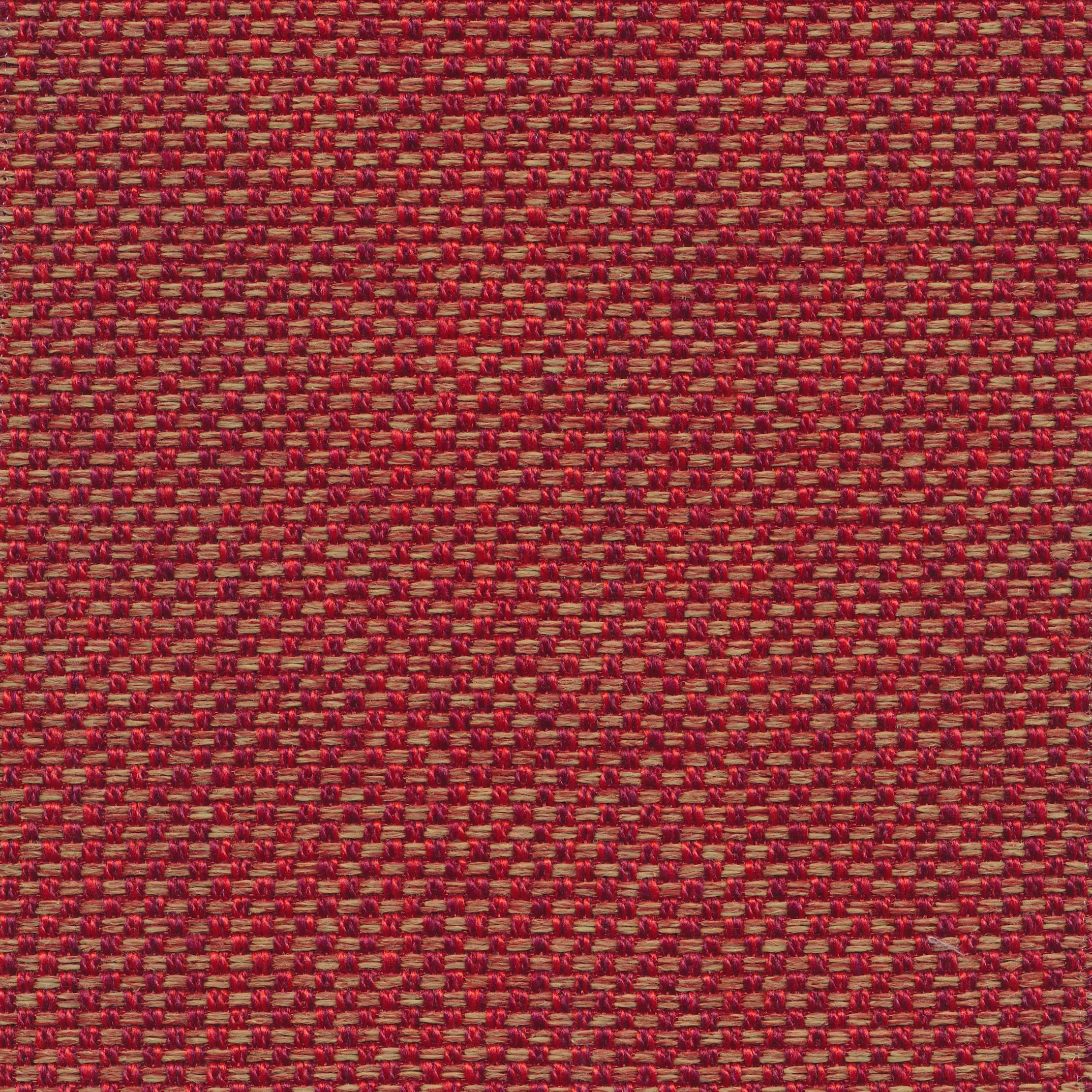 Fast 35 red