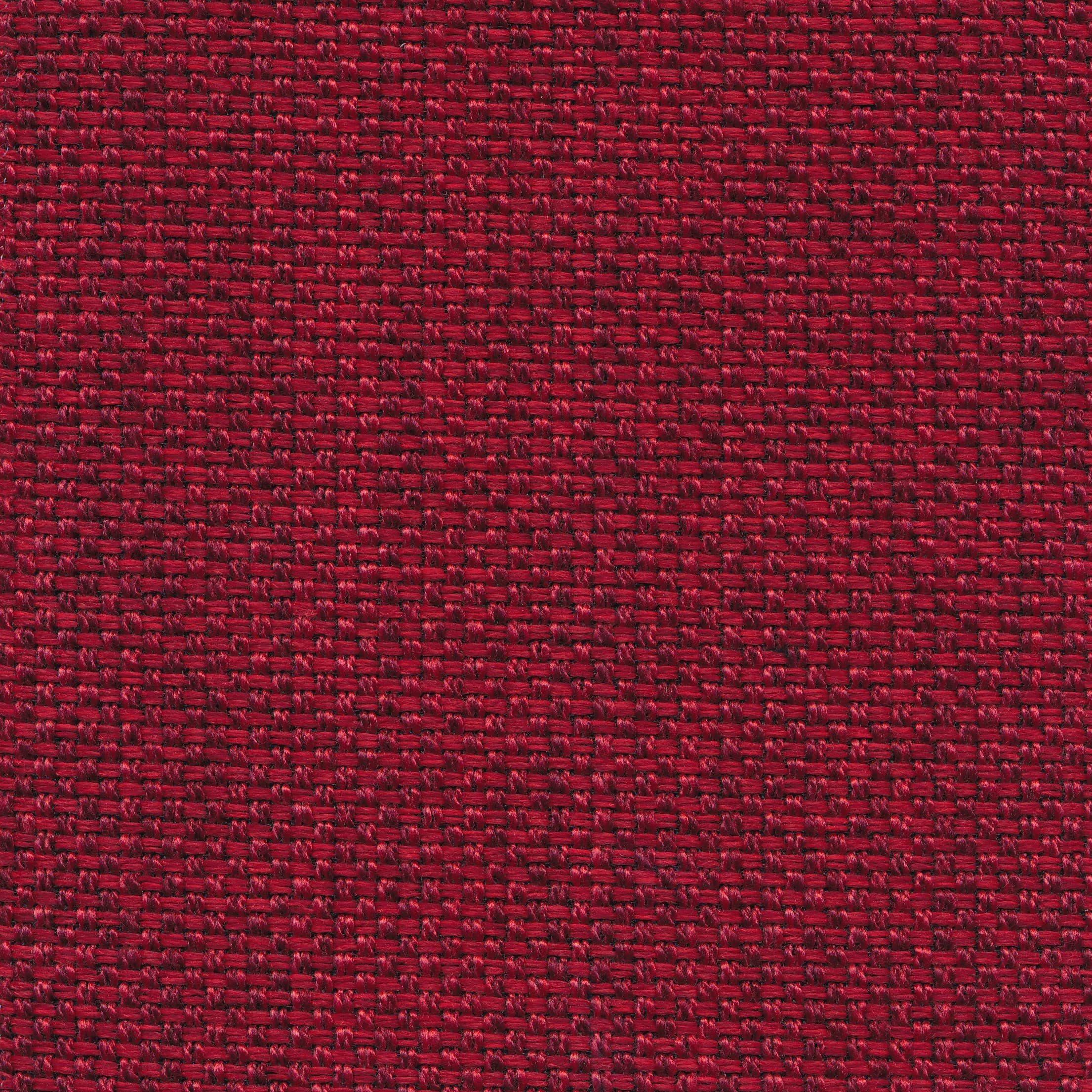 Fast 141 scarlet