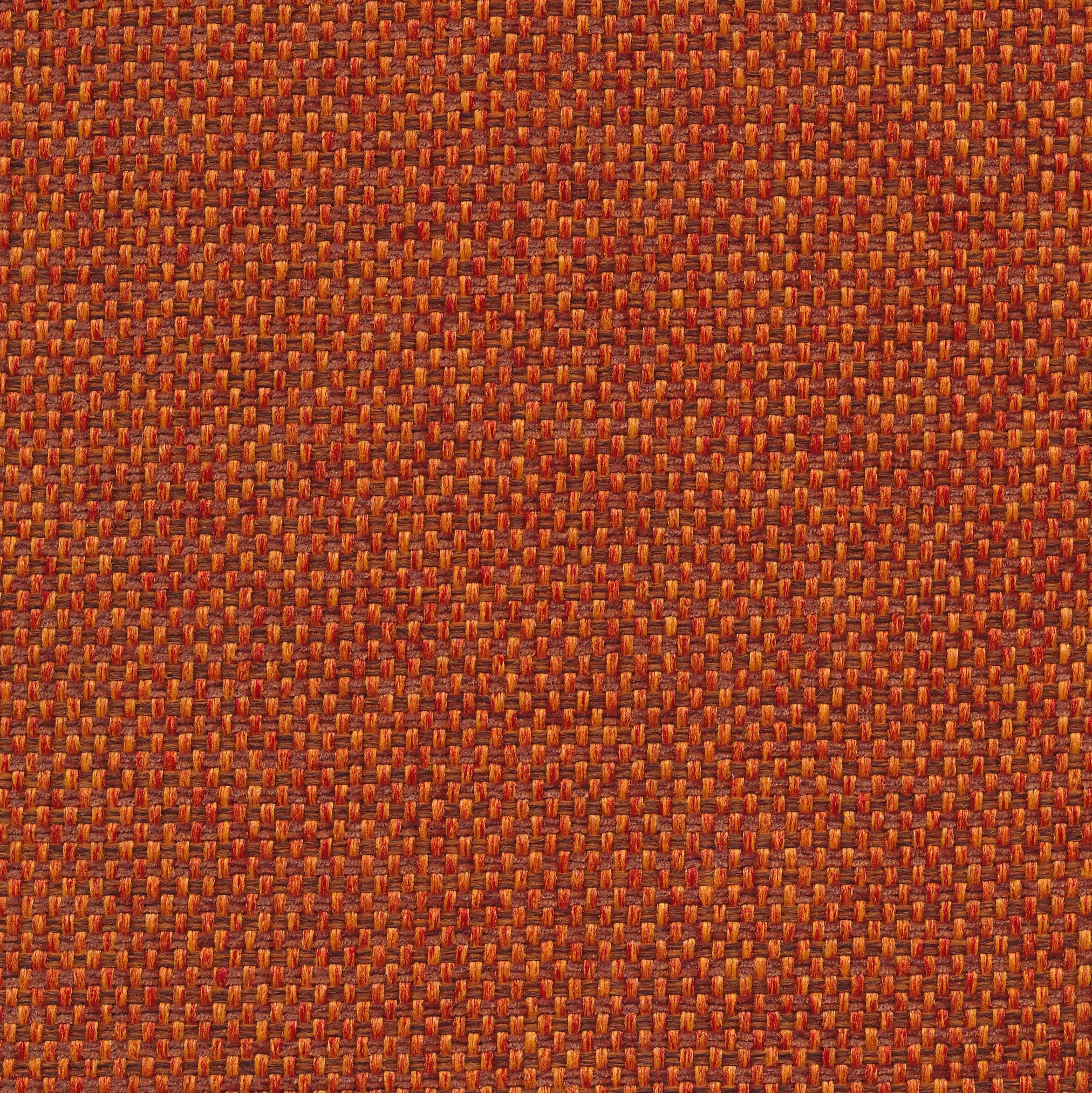 Forto 25 orange