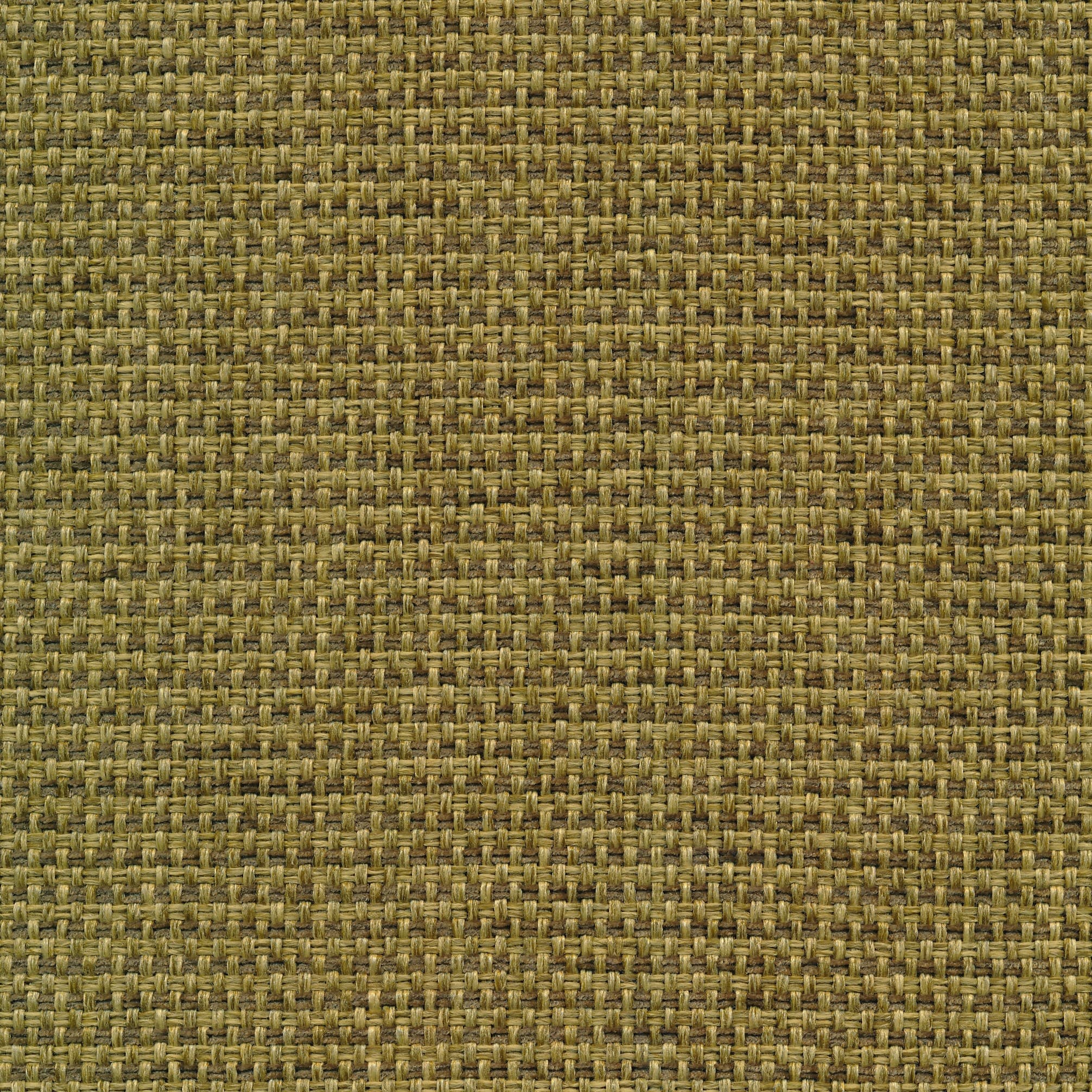 Forto 53 olive