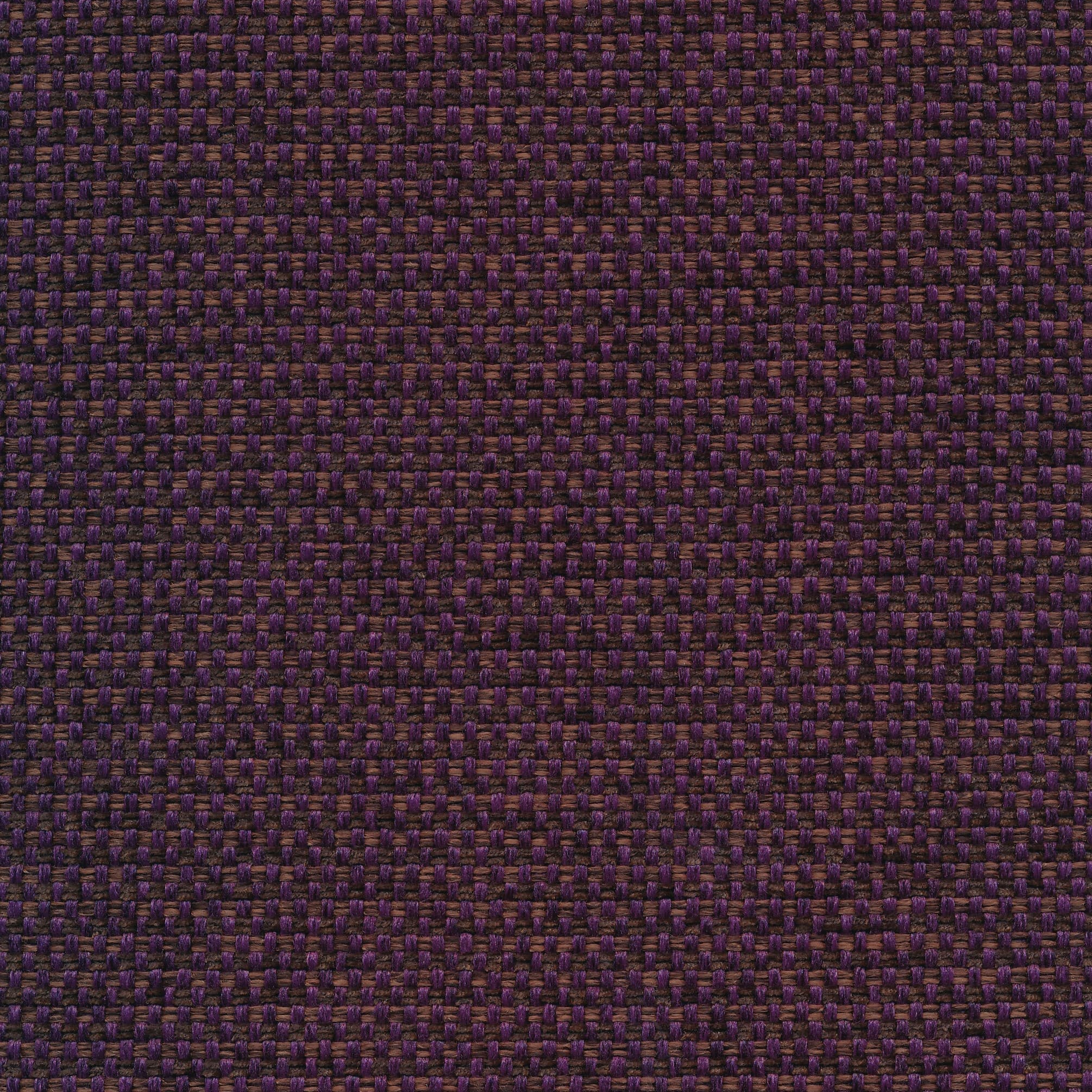 Forto 78 purple