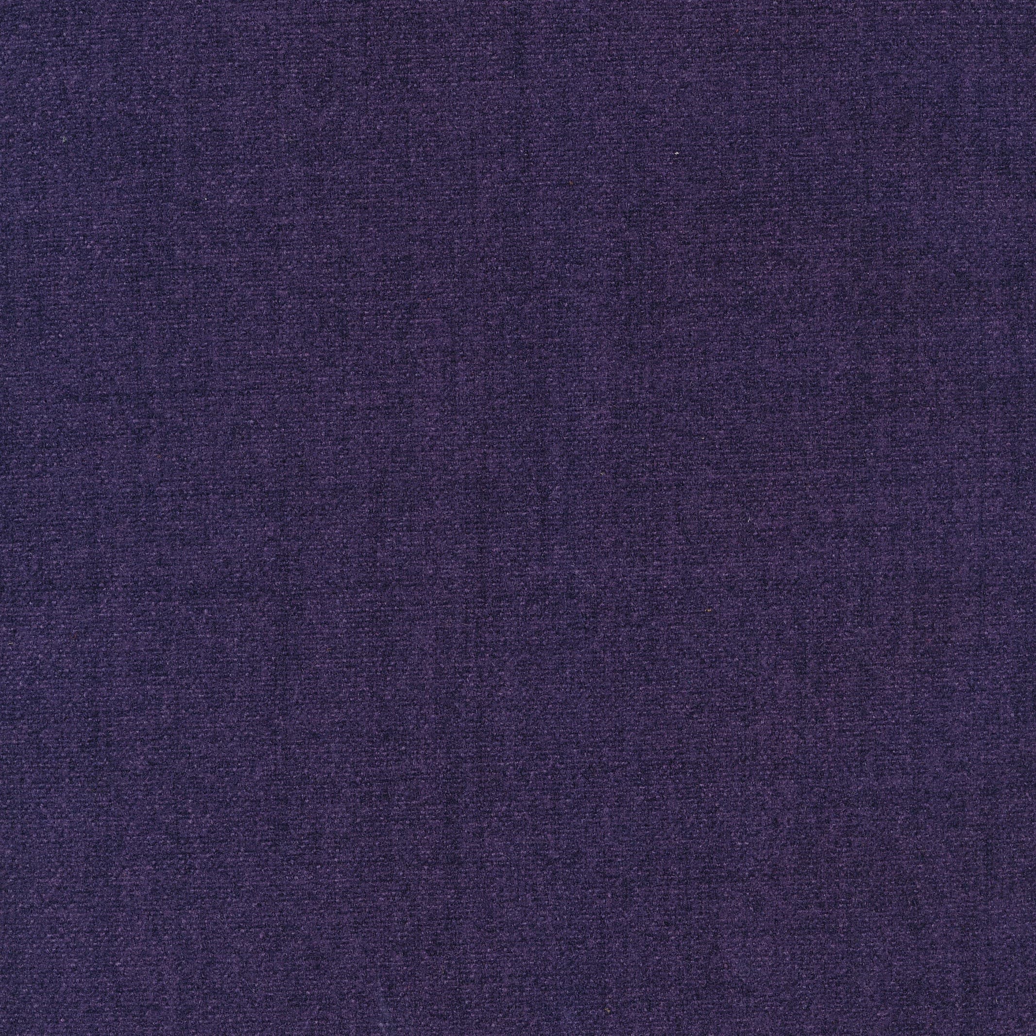 Jazz 78 purple