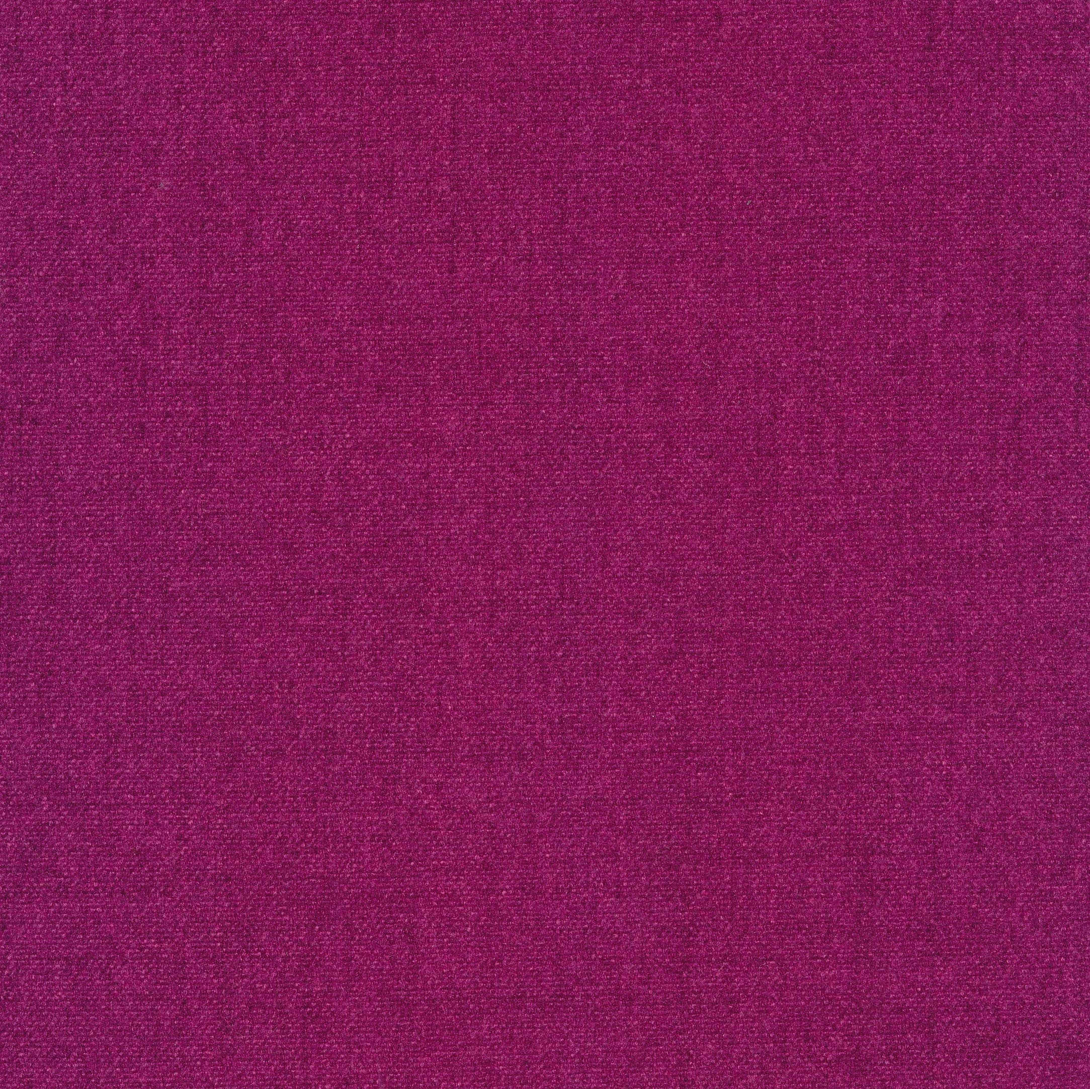 Jazz 77 fuchsia
