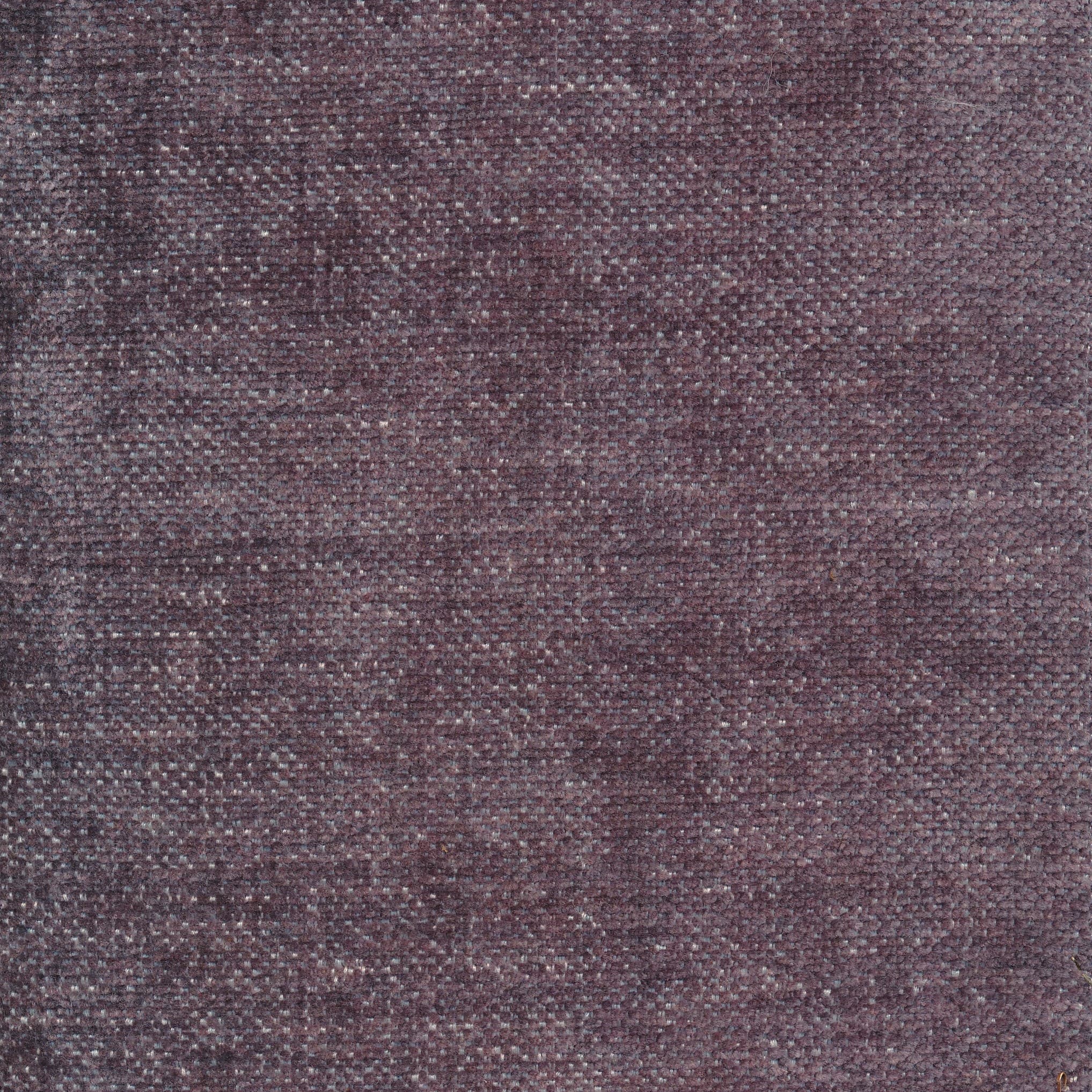 Image 71 lavender